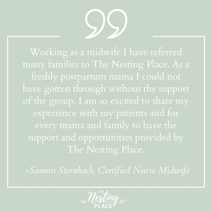 Fourth Trimester Support Circle - The Nesting Place